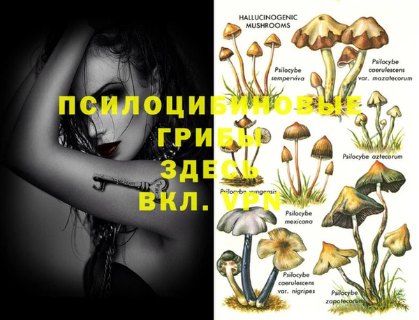 мескалин Алексин