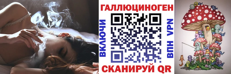 Галлюциногенные грибы Psilocybe  Курск 