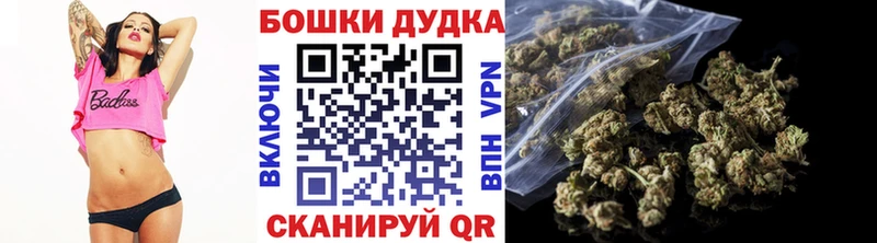 Канабис план  купить  цена  ОМГ ОМГ как войти  Курск 